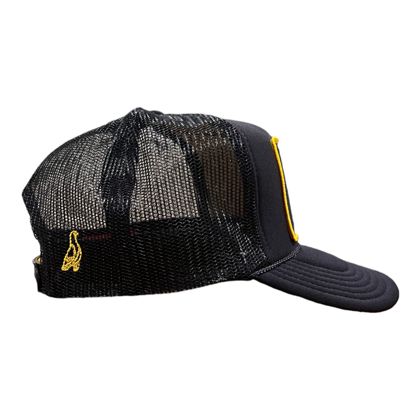 Ann Arbor Navy Blue Cap with Navy & Yellow Pigeon Patch